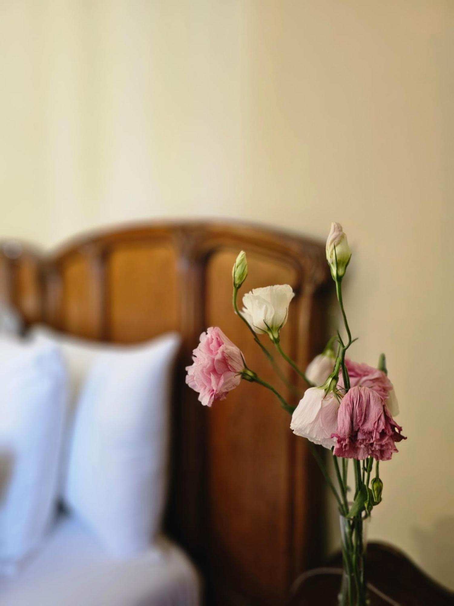 Be Jardin Escondido By Coppola Ξενοδοχείο Μπουένος Άιρες Εξωτερικό φωτογραφία